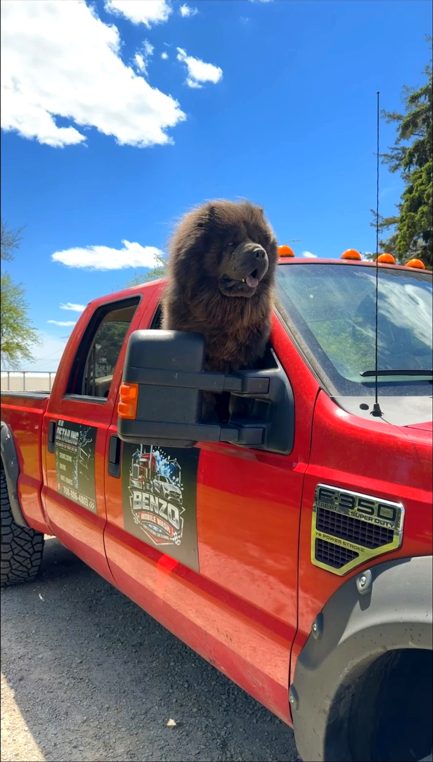 Benzo Mobile Wash F-350 service truck with a dog in the window